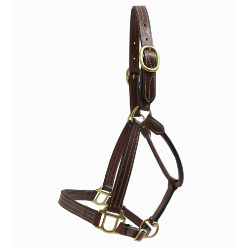 Licol Pour Cheval En Cuir T De T Trippled Stiched