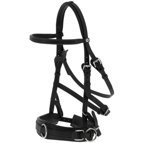 Caveçon Pour Cheval Norton