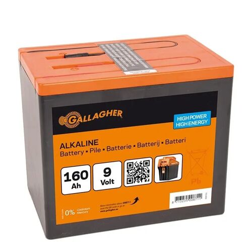 Pile alcaline Gallagher Powerpack
