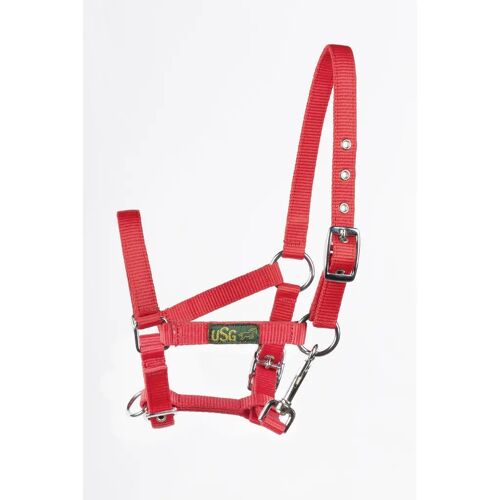 Licol Pour Poulain Usg