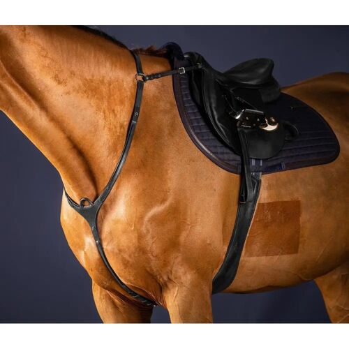 Collier De Chasse Pour Cheval À Pont Dy'on