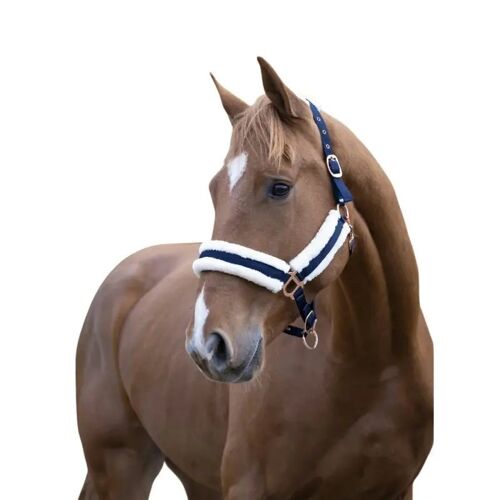 Licol Pour Cheval Norton Confort