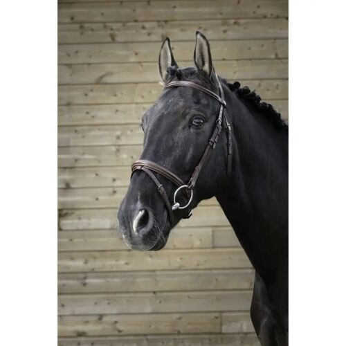 Bridons Équitation Norton Pro Fin