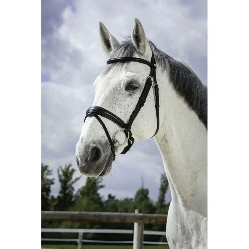 Bridons Équitation Norton Pro Soft