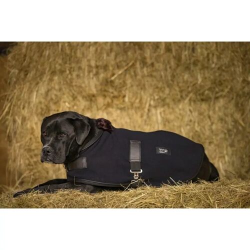 Couverture Pour Chien Polaire Diego & Louna Teddy