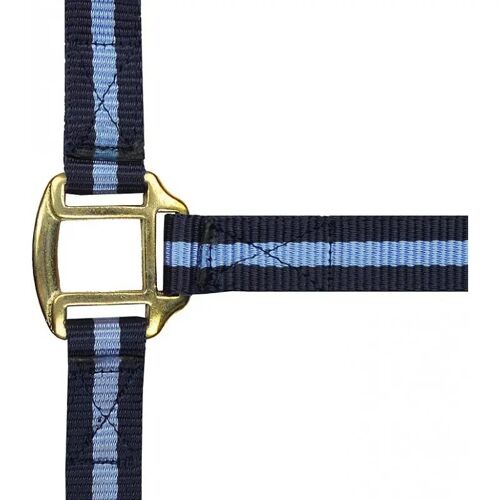 Licol Pour Cheval Norton Doublé Cuir