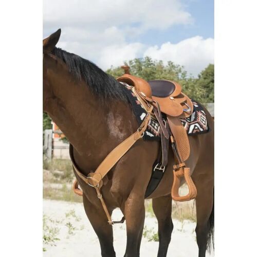 Collier De Chasse Pour Cheval Westride Franck Perret Billy