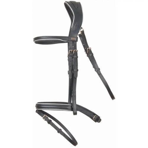 Bridons Équitation T De T Velazquez