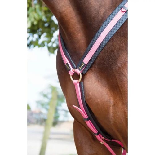 Collier De Chasse Pour Cheval T De T
