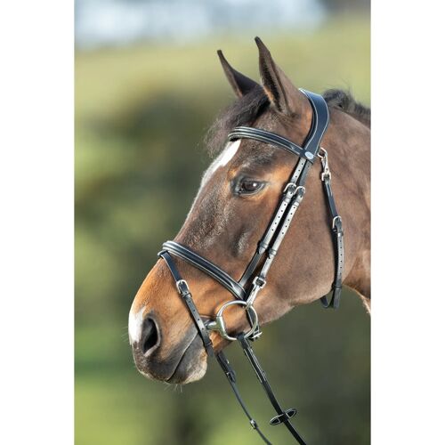 Bridons Équitation Hfi Functional