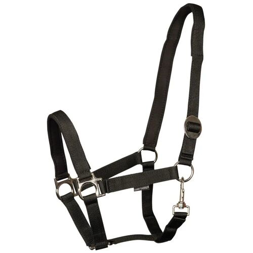 Licol Pour Cheval Rembourré Harry's Horse