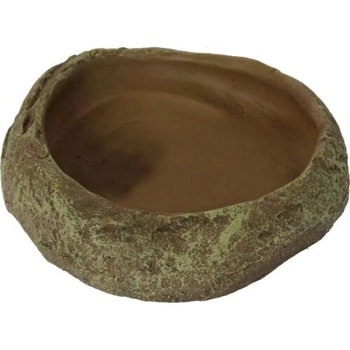 Mangeoire Pour Reptiles Reptiles Planet