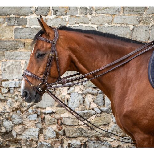 Rênes De Tirage 1/2 Cuir Pour Cheval Dy'on