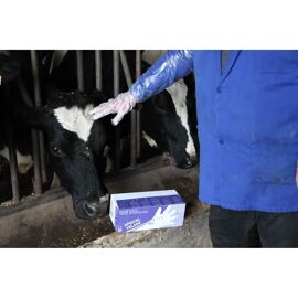 Gants De Vêlage Septicare (X100)
