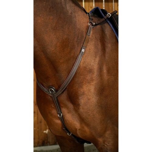 Collier De Chasse À Pont Pour Cheval Dy'on
