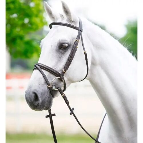 Bridons Pour Cheval Frontal Bombé Rond Bouclerie Inox Daslö