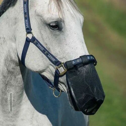 Masque Protège-Naseaux Anti-Mouches Pour Cheval Horze