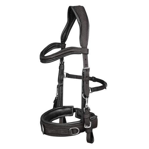 Caveçon Pour Cheval En Cuir Anatomic Waldhausen