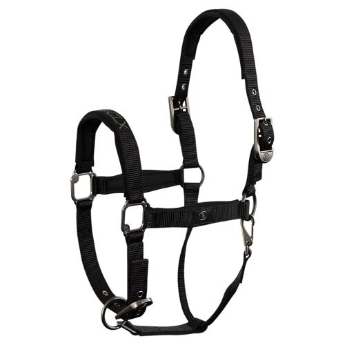 Licol Pour Cheval Br Equitation Clx