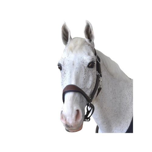 Licol Cuir Flags&cup Paris