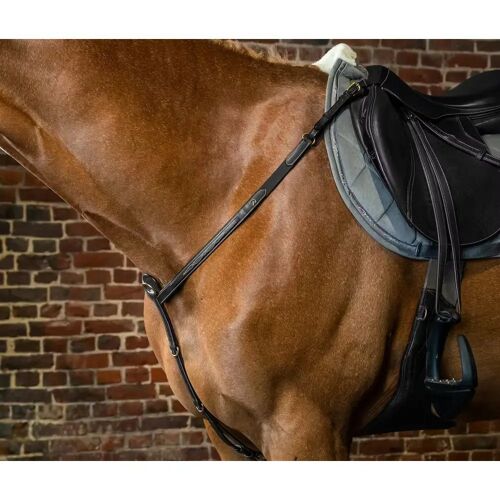 Collier De Chasse Pour Cob Dy'on