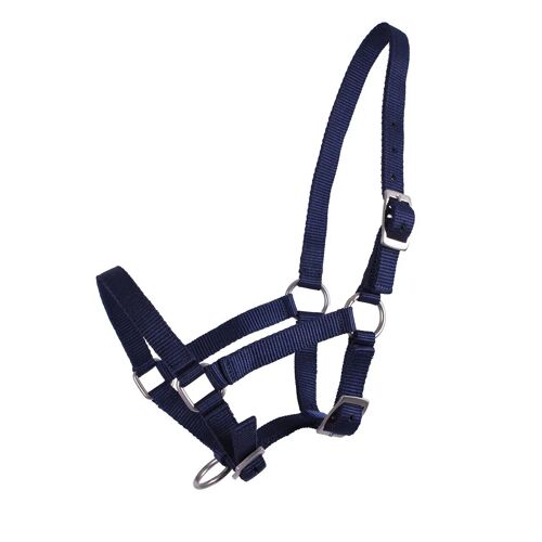 Licol Pour Poulain Q-Essentials