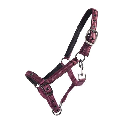 Licol Pour Poulain Qhp Lily