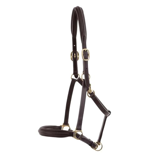 Licol Pour Cheval Rembourré Cuir Premier Equine