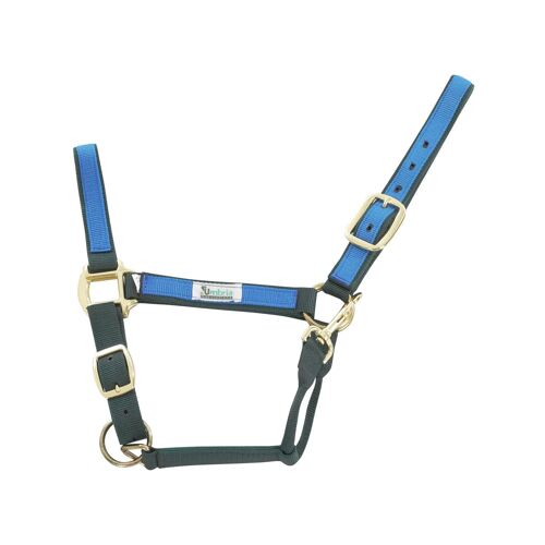Licol Pour Cheval En Nylon Coloré Umbria Equitazione