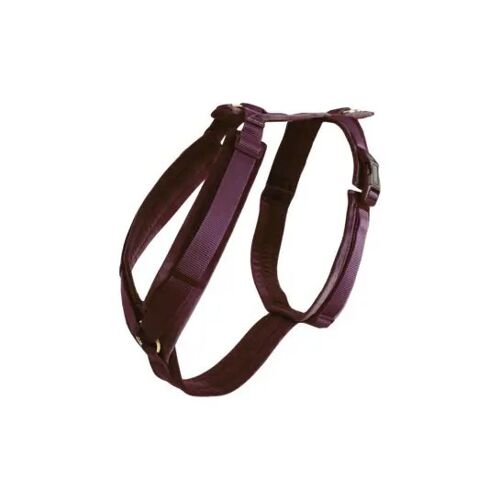 Harnais Pour Chien Actif Kentucky Velvet