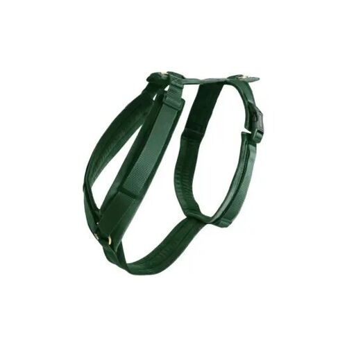 Harnais Pour Chien Actif Kentucky Velvet