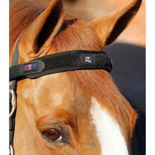 Frontal Pour Cheval Magnétique Premier Equine Magni-Teque