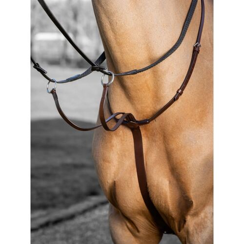 Martingale De Course Pour Cheval Lemieux Arika