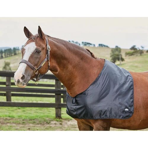 Protège-Poitrail Pour Cheval En Satin Weatherbeeta