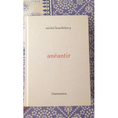 Anéantir Houllebecq