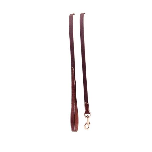 Laisse Pour Chien Silver Crown Farway