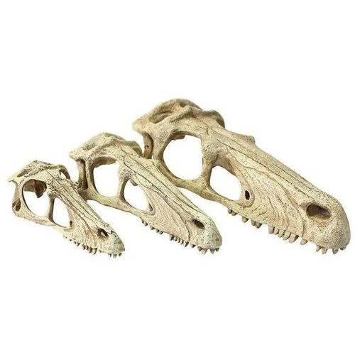 Accessoire De Terrarium Small Komodo Raptor Skull