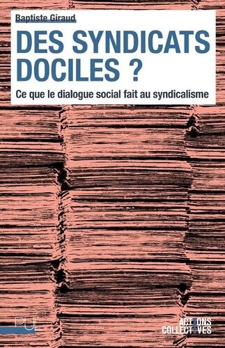 Des Syndicats Dociles ? - Ce Que Le Dialogue Social Fait Au Syndicalisme