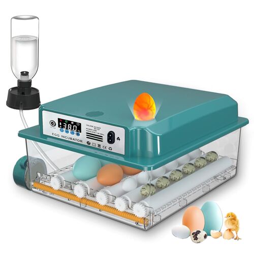 VornixorSarlshopCouveuse Oeuf Automatique, Incubateur Oeuf Automatique 12-16 Oeufs avec Retournement Automatique des ?ufs et Ajout Automatique d'eau, Couveuses pour ?ufs de Volailles
