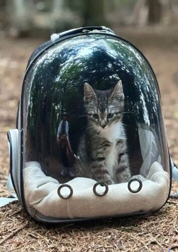 Sac à dos transport chat transparent respirant-capsule securité