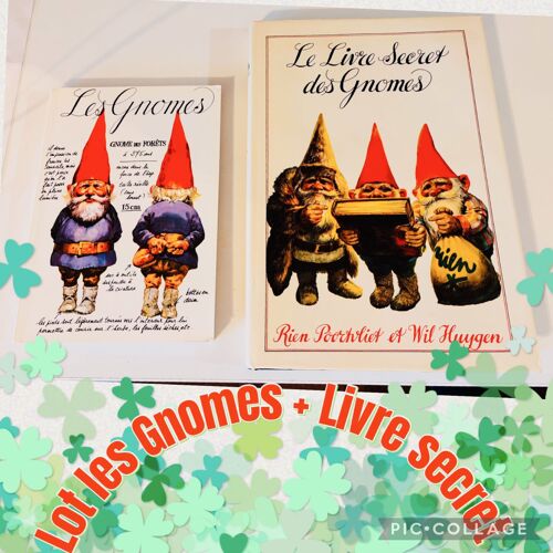 Lot De Deux Livres :Les Gnomes + Le Livre Secret Des Gnomes 
