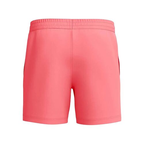 Speedo Short De Bain Essential 16¿¿ Homme Xs Coral Sands