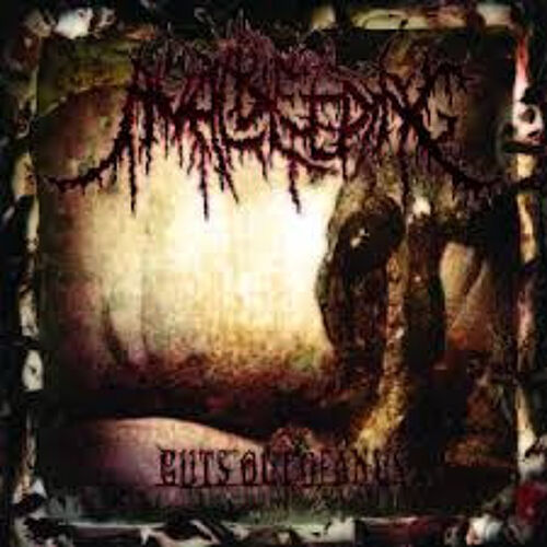 Anal Bleeding "Guts Out Of Anus"