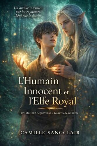 L'humain Innocent Et L'elfe Royal