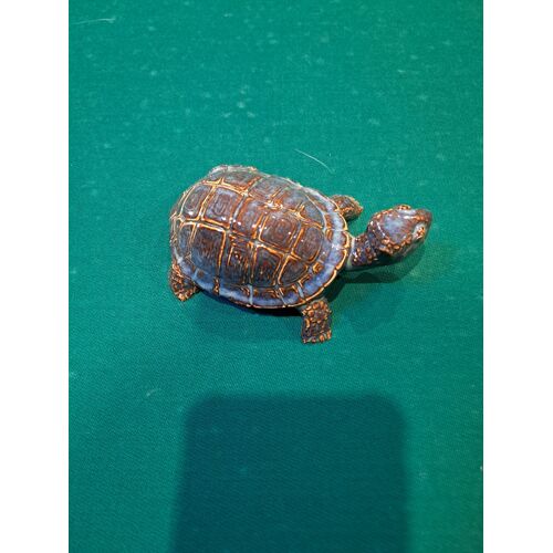 Déco Tortue 🐢 rigolote
