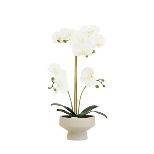 Orchidée artificielle toucher naturel 45cm