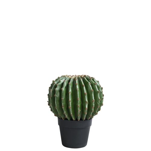 Cactus En Pot Artificiel Vert H31