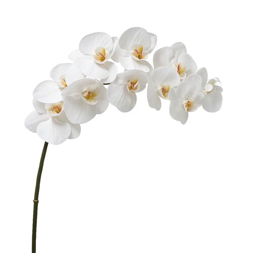 Tige d'orchidée artificielle blanche H100