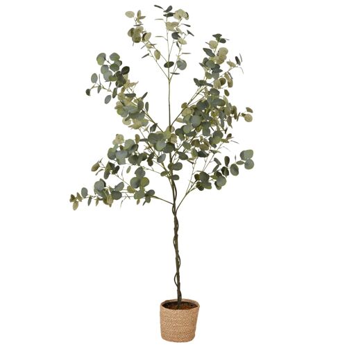 Eucalyptus Artificiel Et Pot Tressé