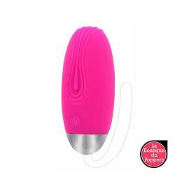 Oeuf Vibrant